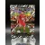 RC Samuele Vignato /20 Zebra focis kártya - 2023-24 Panini Select Serie A - Monza